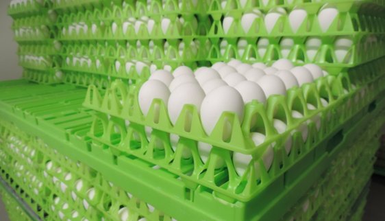Äggpackeri - Järnvirke Hönseri levererar ägg från frigående höns till butiker och företag i Varberg och Halland
